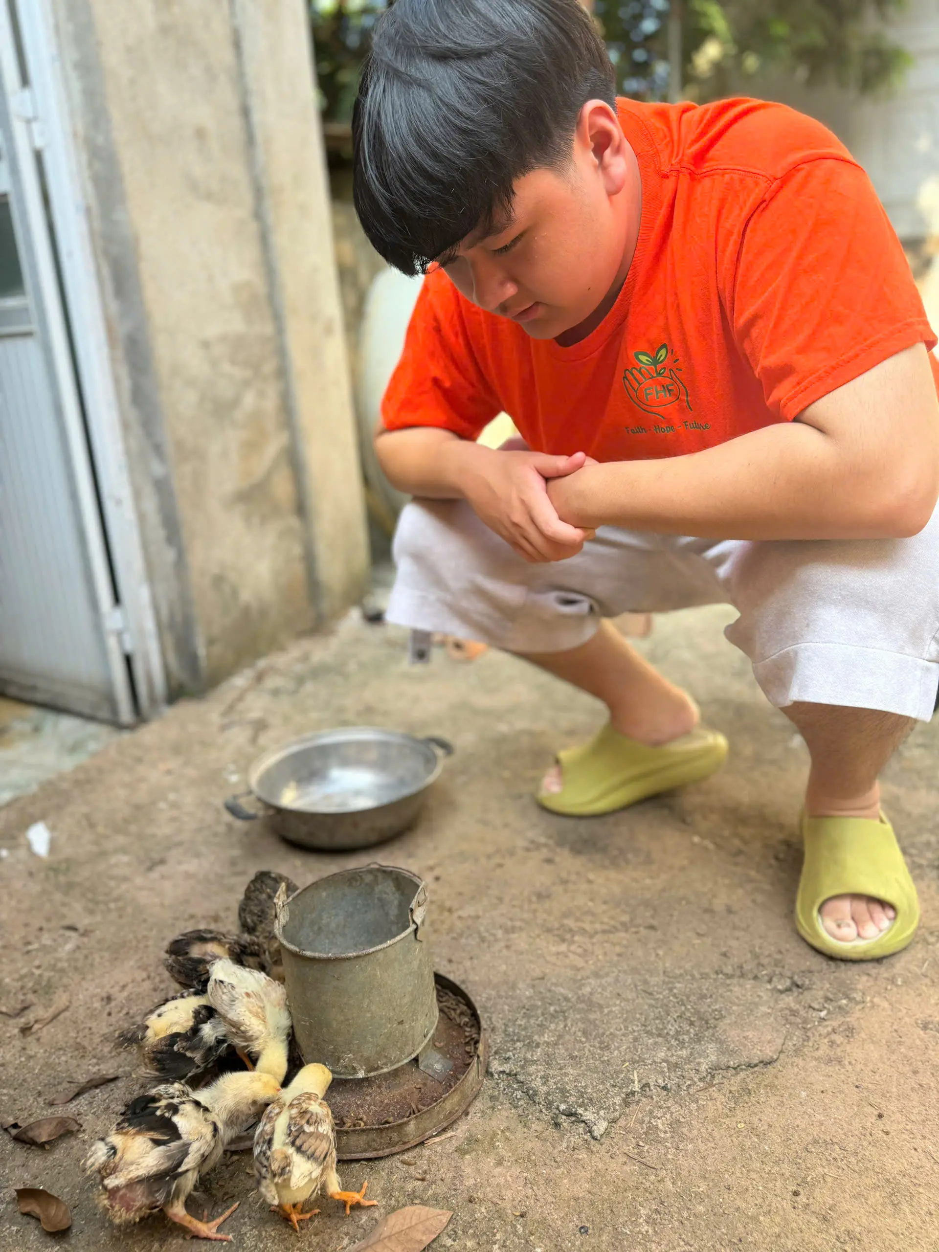 Trao gà - Gửi gắm niềm tin