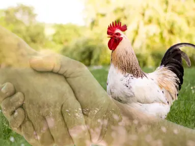 Gieo hy vọng - Gặt niềm tin